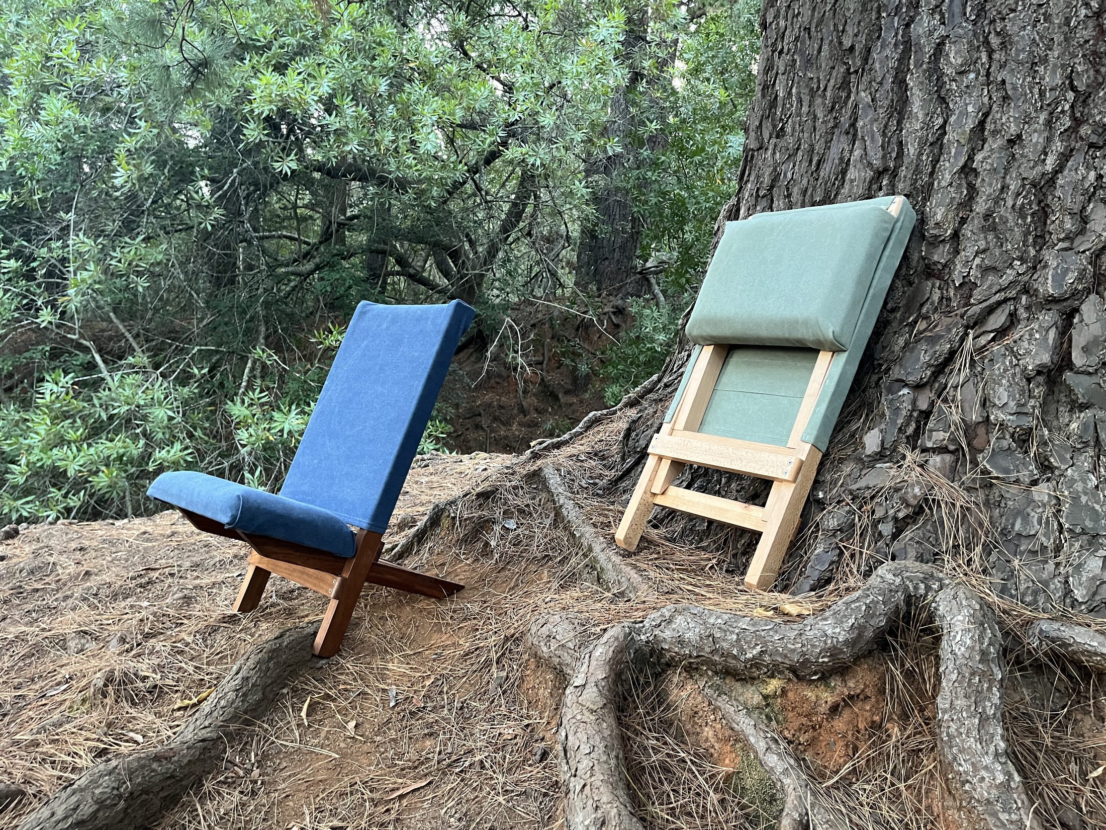 Kiaat and beech folding chairs among the pine roots